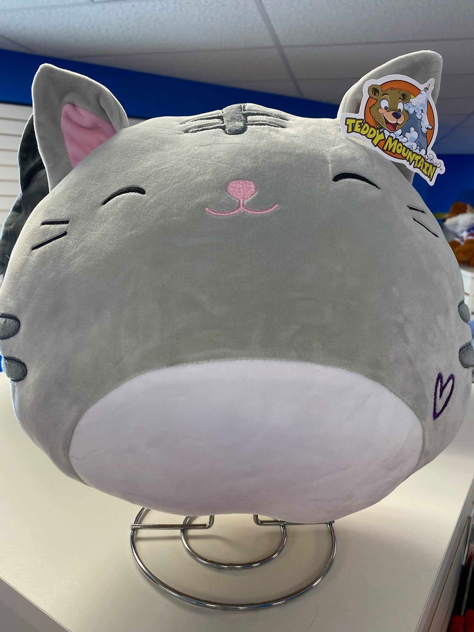 Bouncyland is a Family Activity Entertainment Center For Kids & Children in Muncie, Indiana! Features 15 bounce houses, toddler zone play area, arcade, birthday party hosting, My Plushy Pals where you can create your own stuffed animal, and concessions & dining! There's so many fun things for kids & children to do at Bouncyland in Muncie!