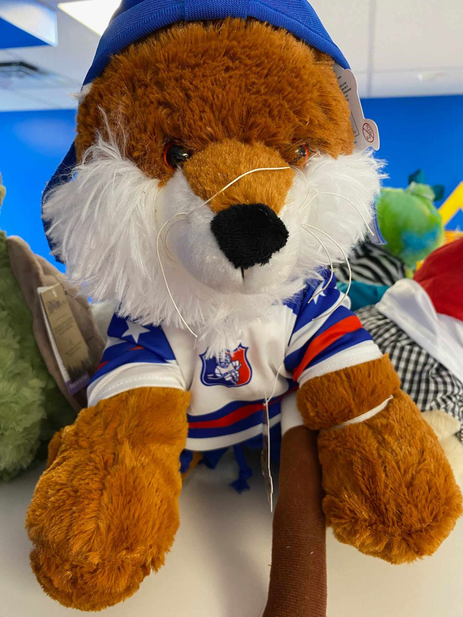 Bouncyland is a Family Activity Entertainment Center For Kids & Children in Muncie, Indiana! Features 15 bounce houses, toddler zone play area, arcade, birthday party hosting, My Plushy Pals where you can create your own stuffed animal, and concessions & dining! There's so many fun things for kids & children to do at Bouncyland in Muncie!