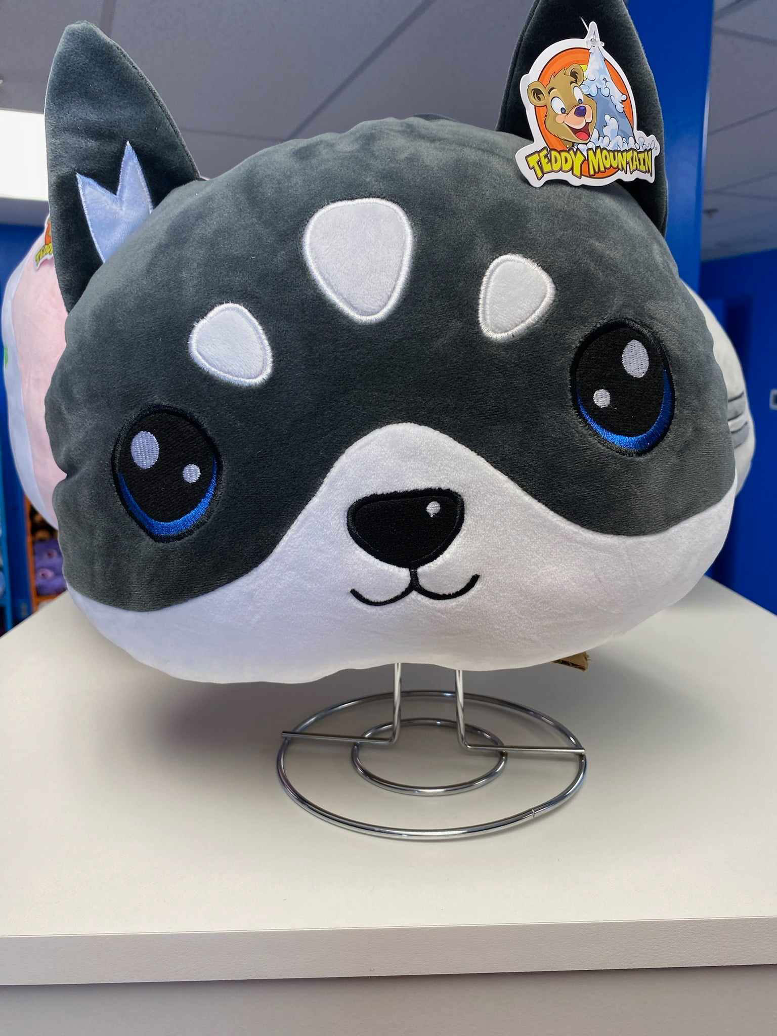 Bouncyland is a Family Activity Entertainment Center For Kids & Children in Muncie, Indiana! Features 15 bounce houses, toddler zone play area, arcade, birthday party hosting, My Plushy Pals where you can create your own stuffed animal, and concessions & dining! There's so many fun things for kids & children to do at Bouncyland in Muncie!