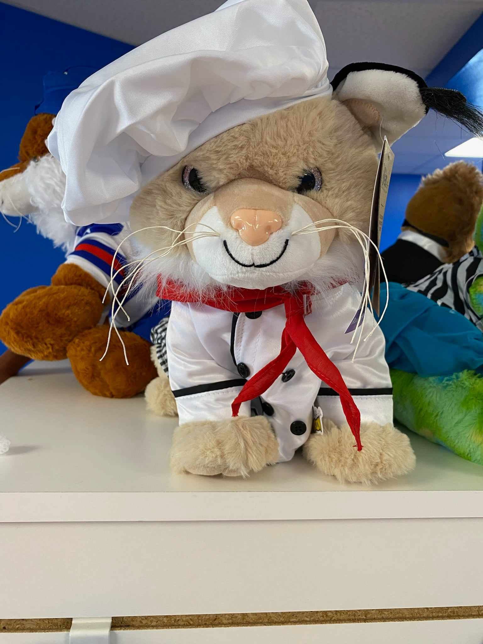 Bouncyland is a Family Activity Entertainment Center For Kids & Children in Muncie, Indiana! Features 15 bounce houses, toddler zone play area, arcade, birthday party hosting, My Plushy Pals where you can create your own stuffed animal, and concessions & dining! There's so many fun things for kids & children to do at Bouncyland in Muncie!