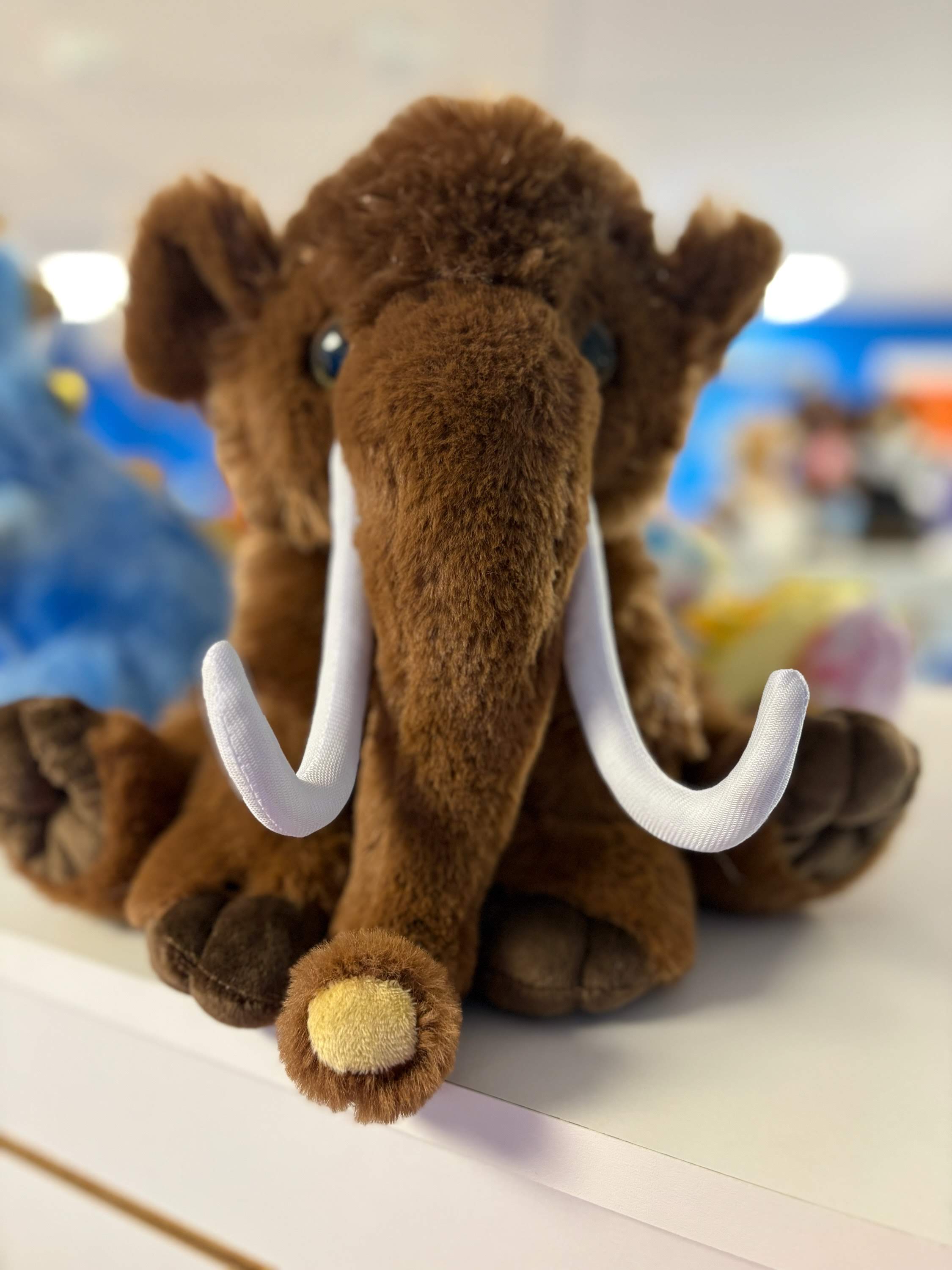 Bouncyland is a Family Activity Entertainment Center For Kids & Children in Muncie, Indiana! Features 15 bounce houses, toddler zone play area, arcade, birthday party hosting, My Plushy Pals where you can create your own stuffed animal, and concessions & dining! There's so many fun things for kids & children to do at Bouncyland in Muncie!