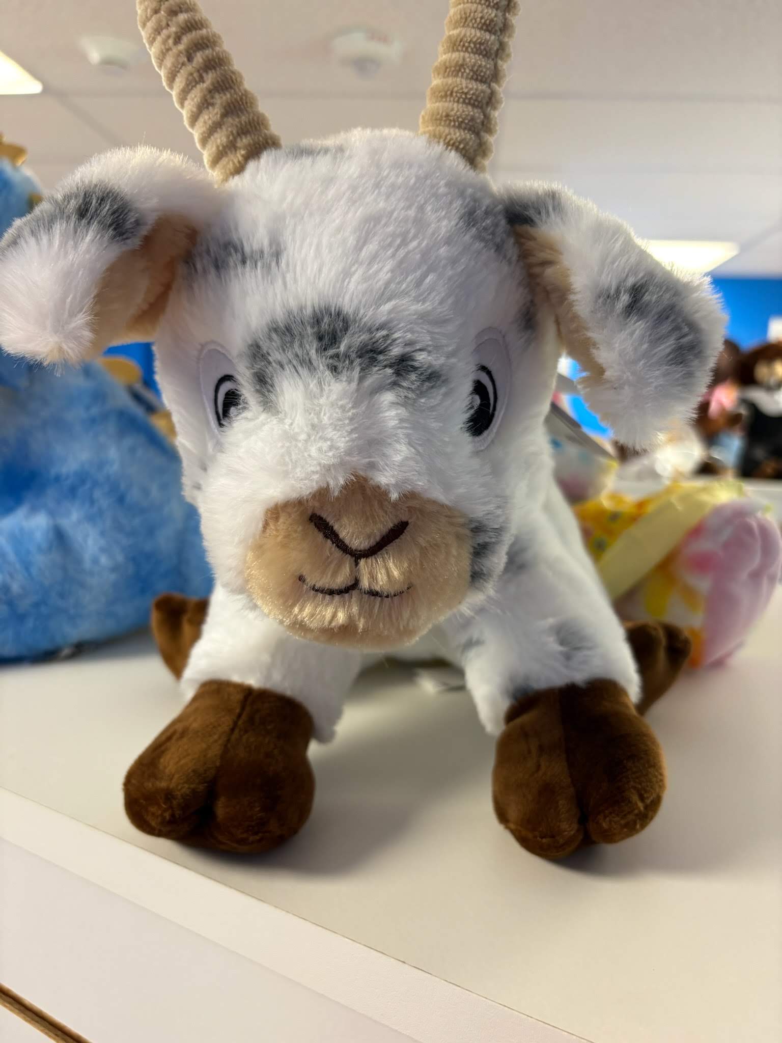 Bouncyland is a Family Activity Entertainment Center For Kids & Children in Muncie, Indiana! Features 15 bounce houses, toddler zone play area, arcade, birthday party hosting, My Plushy Pals where you can create your own stuffed animal, and concessions & dining! There's so many fun things for kids & children to do at Bouncyland in Muncie!