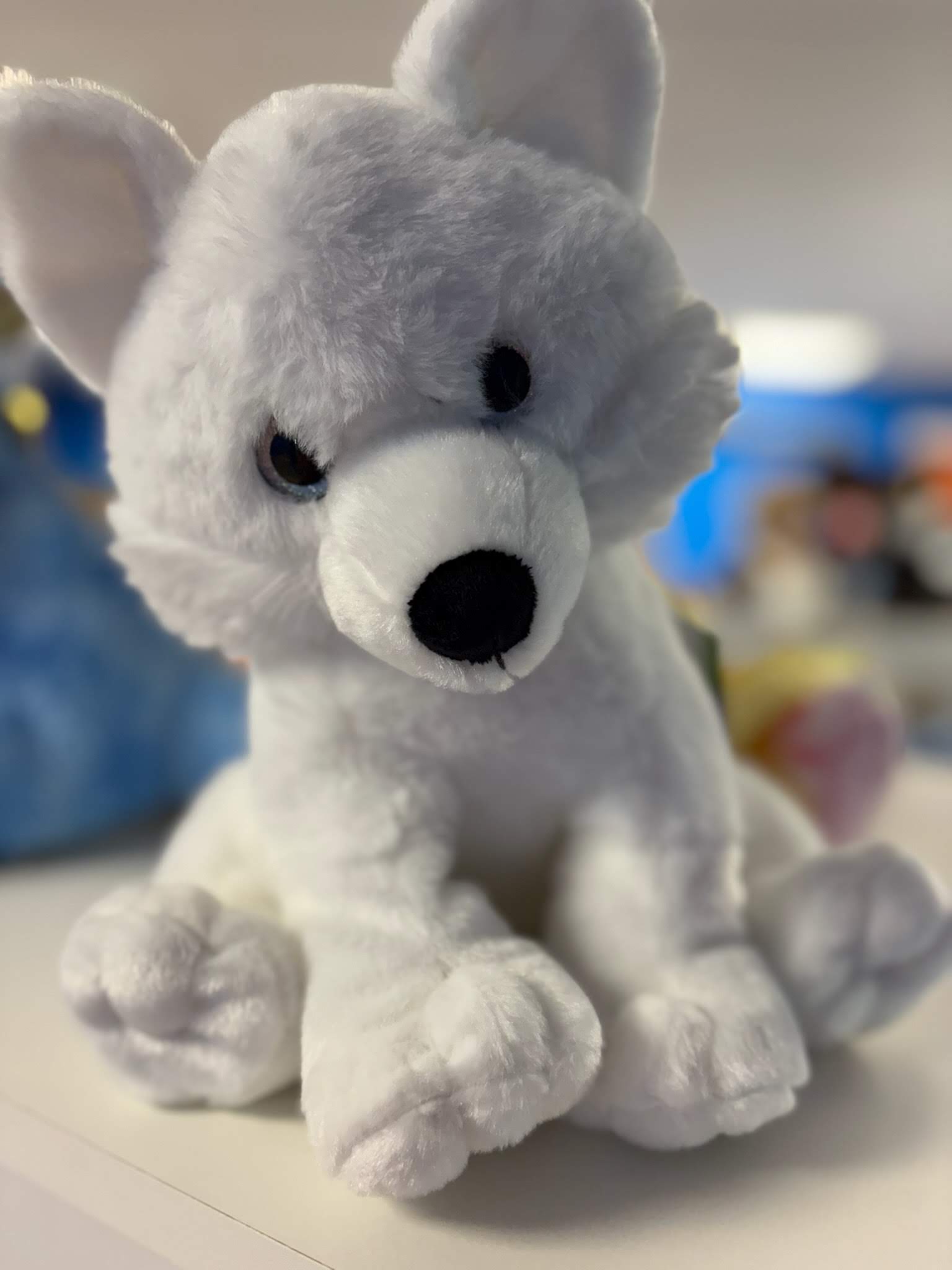 Bouncyland is a Family Activity Entertainment Center For Kids & Children in Muncie, Indiana! Features 15 bounce houses, toddler zone play area, arcade, birthday party hosting, My Plushy Pals where you can create your own stuffed animal, and concessions & dining! There's so many fun things for kids & children to do at Bouncyland in Muncie!