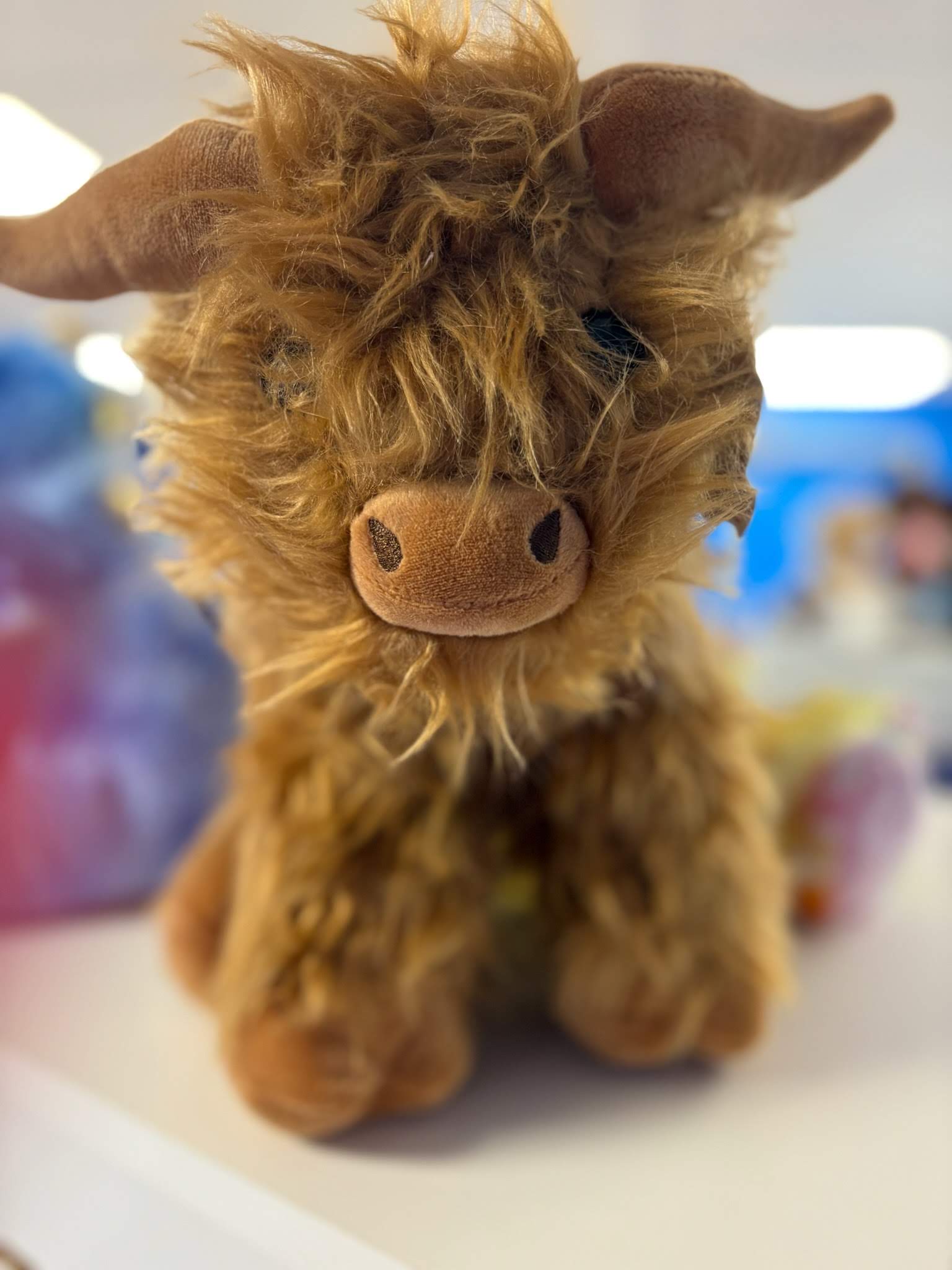 Bouncyland is a Family Activity Entertainment Center For Kids & Children in Muncie, Indiana! Features 15 bounce houses, toddler zone play area, arcade, birthday party hosting, My Plushy Pals where you can create your own stuffed animal, and concessions & dining! There's so many fun things for kids & children to do at Bouncyland in Muncie!